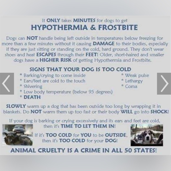 🥶 ❄️🧊BRING IN PETS INSIDE IN FRIGID TEMPS!! BESIDES, ITS THE LAW!!🙏🐕🐈‍⬛🐇🐈 - Picture 5 of 14